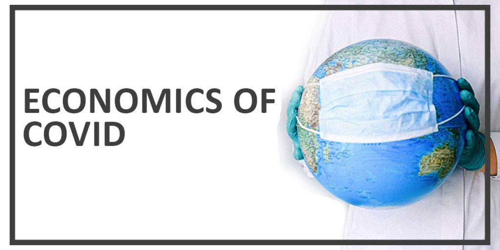 literature review of the economics of covid 19