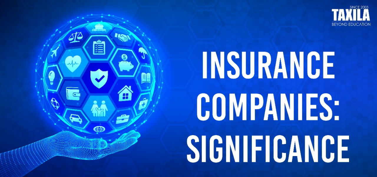 INSURANCE COMPANIES: SIGNIFICANCE